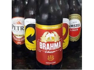 CERVEJAS 600ML