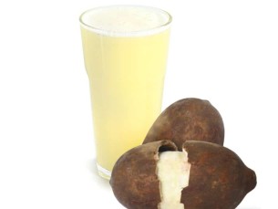 CUPUAÇU
