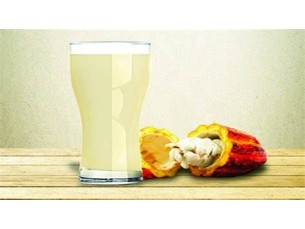 SUCO DE CACAU