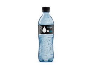 Água Lindoya Com Gás 500ml