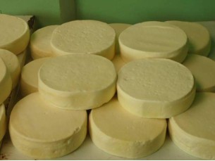 Queijo 