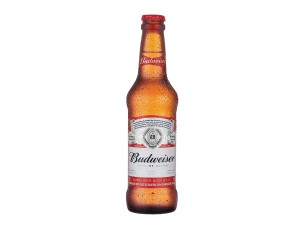 CERVEJAS LONG NECK