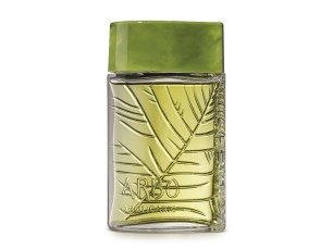 ARBO FOREST desodorante colônia R$ 154,90