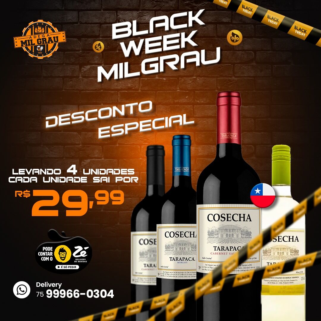 Adega Mil Grau
