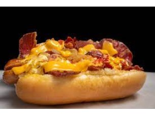 CACHORRO CARAMELO