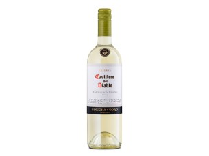 CASILLERO DEL DIABLO