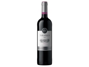 Tarapacá León Syrah