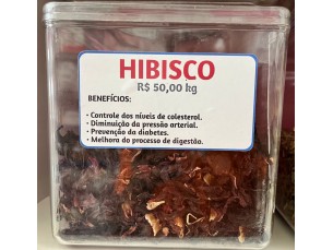 Hibisco 