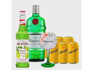 Gin Maça verde Monin