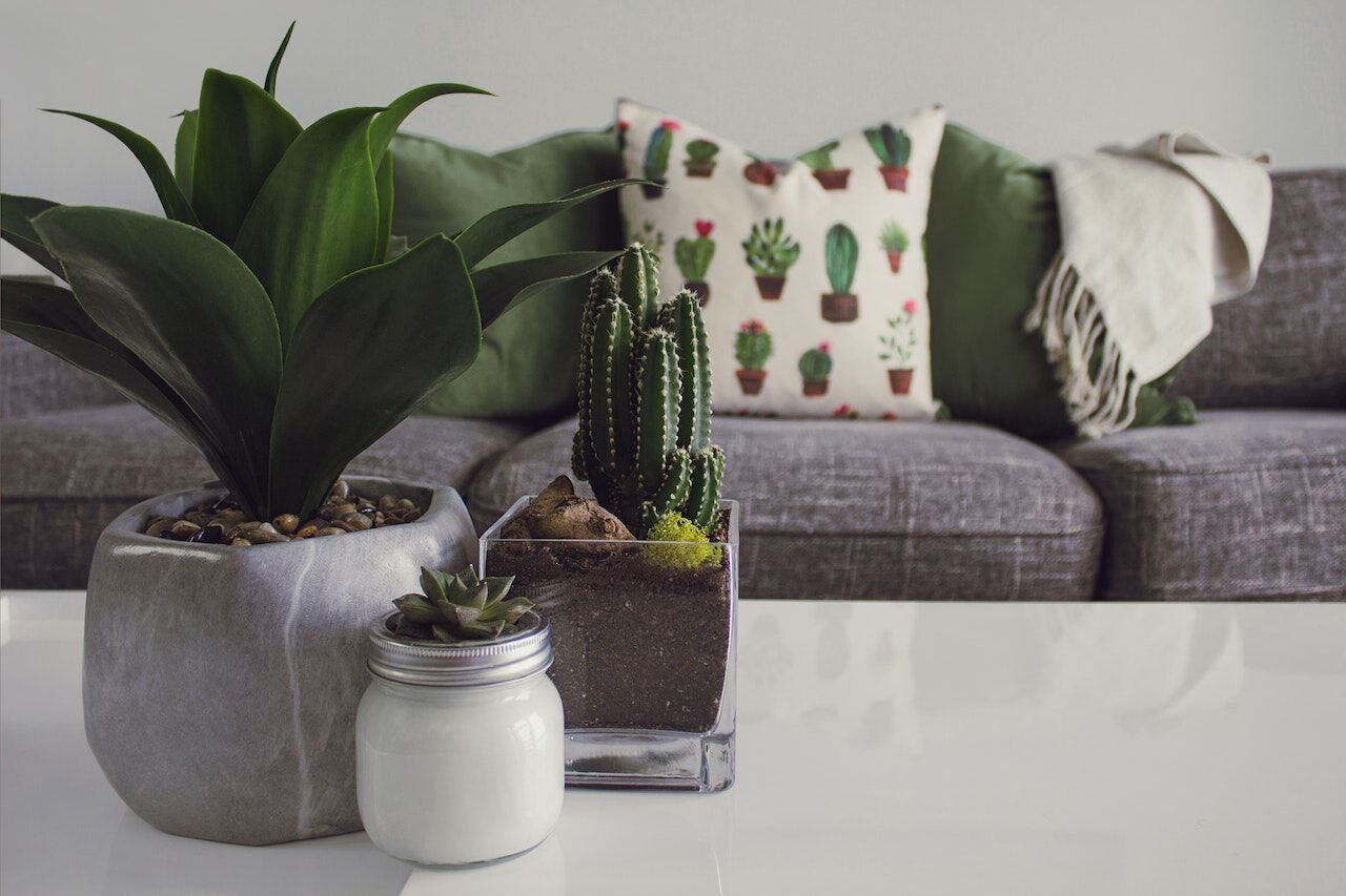 ANA CÉLIA PRESENTES E DECORAÇÕES