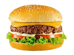 X- BURGUER