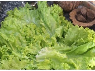 Salada média